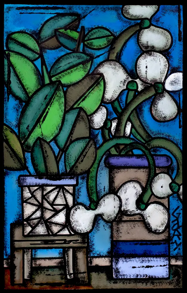 Plantes-d'intérieur